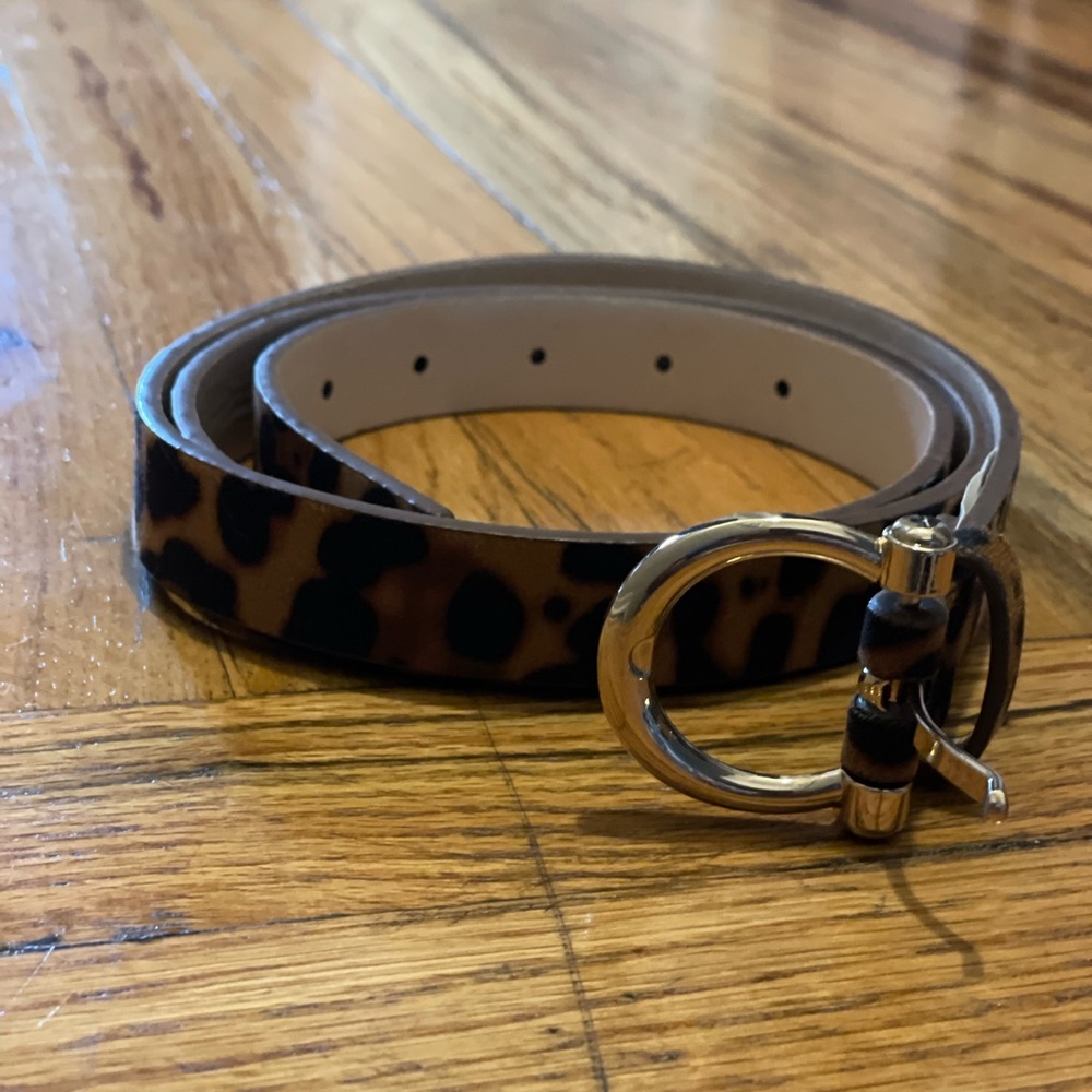 New York & Company Belt